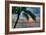 Key West Sunrise One Palm-Robert Goldwitz-Framed Photographic Print