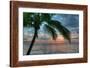 Key West Sunrise One Palm-Robert Goldwitz-Framed Photographic Print