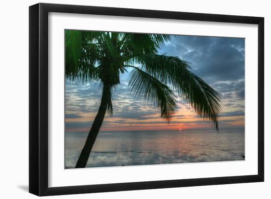 Key West Sunrise One Palm-Robert Goldwitz-Framed Photographic Print