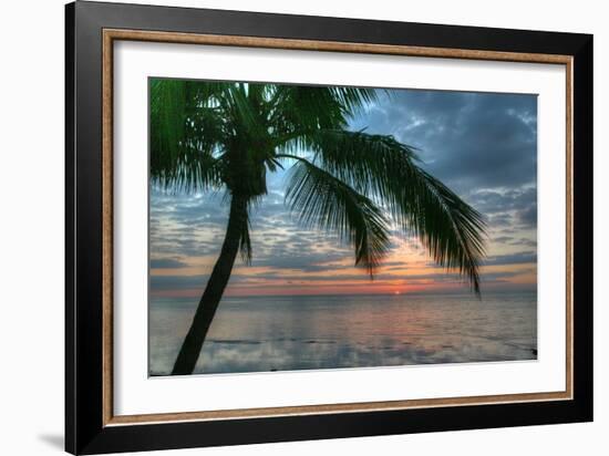 Key West Sunrise One Palm-Robert Goldwitz-Framed Photographic Print