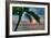 Key West Sunrise One Palm-Robert Goldwitz-Framed Photographic Print