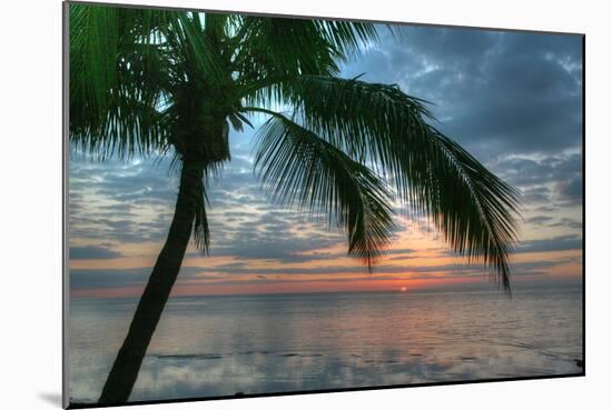 Key West Sunrise One Palm-Robert Goldwitz-Mounted Photographic Print