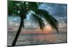 Key West Sunrise One Palm-Robert Goldwitz-Mounted Photographic Print