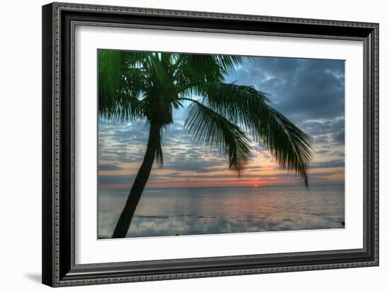 Key West Sunrise One Palm-Robert Goldwitz-Framed Photographic Print