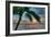 Key West Sunrise One Palm-Robert Goldwitz-Framed Photographic Print