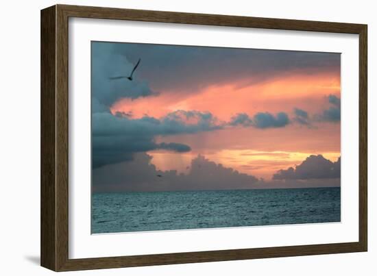 Key West Sunset IV-Robert Goldwitz-Framed Photographic Print