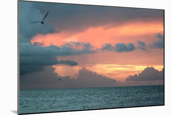 Key West Sunset IV-Robert Goldwitz-Mounted Photographic Print