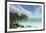 Key West Tree 1-Robert Goldwitz-Framed Photographic Print