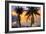 Key West Two Palm Sunrise-Robert Goldwitz-Framed Photographic Print