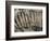 Key Words II-Sydney Edmunds-Framed Giclee Print