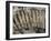 Key Words II-Sydney Edmunds-Framed Giclee Print