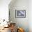 Keyhole Urchin, Sanibel Island, Florida, USA-Rolf Nussbaumer-Framed Photographic Print displayed on a wall