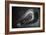 Keyhole-Matthias Haker-Framed Photographic Print