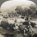 Result of a Morning's Hippopotamus Hunt on Mlembo River, Rhodesia, Africa, 1910-Keystone View Company-Mounted Photographic Print