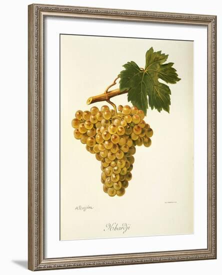 Khardji Grape-A. Kreyder-Framed Giclee Print