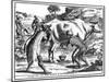 Khoikhois Milking Cows and Making Butter, South Africa, 18th Century-null-Mounted Giclee Print