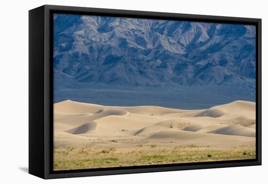 Khongor Sand Dunes, Govi Gurvan Saikhan National Park, Gobi Desert, South Mongolia. June 2015-Inaki Relanzon-Framed Premier Image Canvas