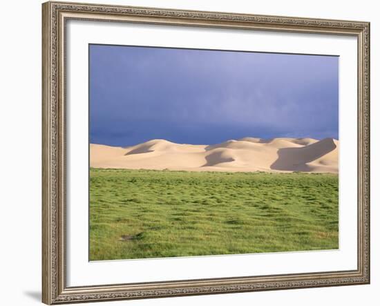 Khongryn Dunes, Gobi Desert, Gobi National Park, Omnogov Province, Mongolia, Central Asia-Bruno Morandi-Framed Photographic Print