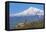 Khor Virap Monastery, 17th Century, Near Artashat, with Mount Ararat in Background, Armenia-null-Framed Premier Image Canvas