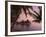 Kia Ora Resort, Rangiroa, Tuamotu Archipelago, French Polynesia Islands-Sergio Pitamitz-Framed Photographic Print