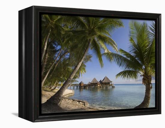 Kia Ora Resort, Rangiroa, Tuamotu Archipelago, French Polynesia, Pacific Islands, Pacific-Sergio Pitamitz-Framed Premier Image Canvas