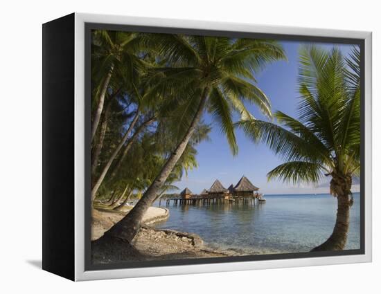 Kia Ora Resort, Rangiroa, Tuamotu Archipelago, French Polynesia, Pacific Islands, Pacific-Sergio Pitamitz-Framed Premier Image Canvas