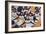 Kiamuki High School Cheerleaders, 2002-Joe Heaps Nelson-Framed Giclee Print