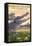 Kiawah Island, South Carolina - Alligator Scene-Lantern Press-Framed Stretched Canvas