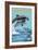 Kiawah Island, South Carolina - Dolphins Jumping-Lantern Press-Framed Art Print