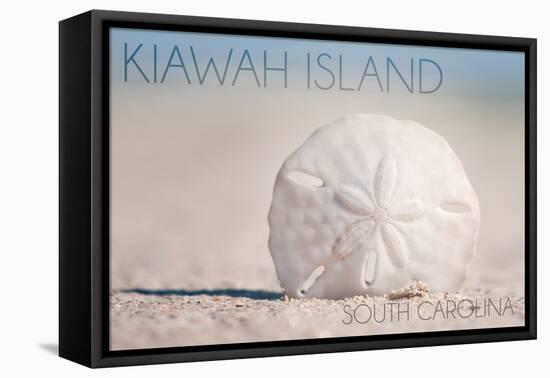 Kiawah Island, South Carolina - Sand Dollar and Beach-Lantern Press-Framed Stretched Canvas