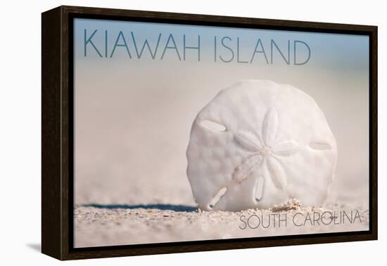 Kiawah Island, South Carolina - Sand Dollar and Beach-Lantern Press-Framed Stretched Canvas