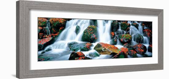 Kibune River Fall Colors Kyoto Sagano Japan-null-Framed Photographic Print