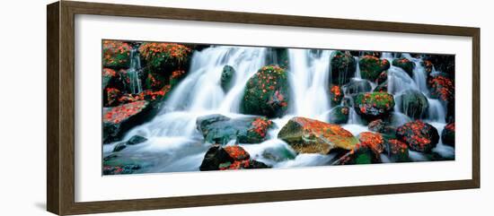 Kibune River Fall Colors Kyoto Sagano Japan-null-Framed Photographic Print