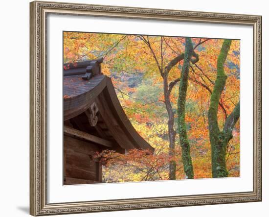 Kibune Shrine, Kyoto, Japan-Rob Tilley-Framed Photographic Print