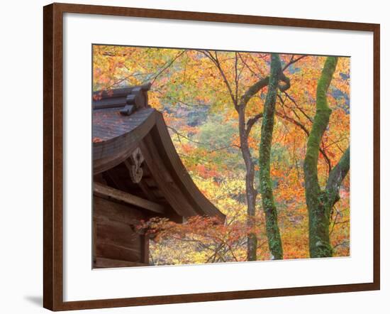 Kibune Shrine, Kyoto, Japan-Rob Tilley-Framed Photographic Print