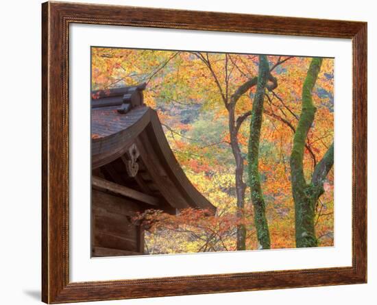 Kibune Shrine, Kyoto, Japan-Rob Tilley-Framed Photographic Print