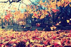 Background Texture of Yellow Leaves Autumn Leaf Background-Kichigin-Photographic Print