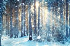 Frosty Winter Landscape in Snowy Forest-Kichigin-Framed Photographic Print