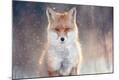 Photographic Print