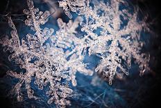 Ice Crystal Snowflake Macro-Kichigin-Photographic Print