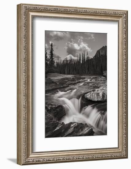 Kicking Horse River-Alan Majchrowicz-Framed Photographic Print