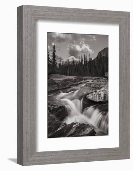 Kicking Horse River-Alan Majchrowicz-Framed Photographic Print