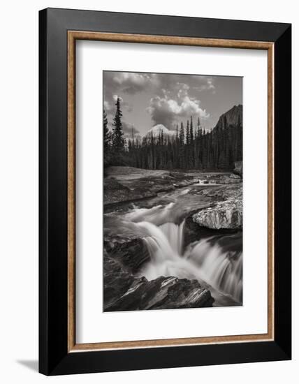 Kicking Horse River-Alan Majchrowicz-Framed Photographic Print