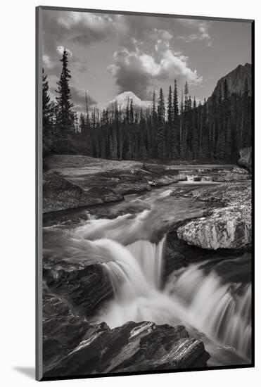 Kicking Horse River-Alan Majchrowicz-Mounted Photographic Print