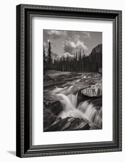 Kicking Horse River-Alan Majchrowicz-Framed Photographic Print