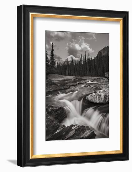 Kicking Horse River-Alan Majchrowicz-Framed Photographic Print