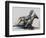 Kicking up Dust-Renee Gould-Framed Giclee Print