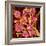 Kidney Glomeruli, SEM-Susumu Nishinaga-Framed Premium Photographic Print