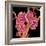 Kidney Glomeruli, SEM-Susumu Nishinaga-Framed Premium Photographic Print