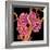 Kidney Glomeruli, SEM-Susumu Nishinaga-Framed Premium Photographic Print